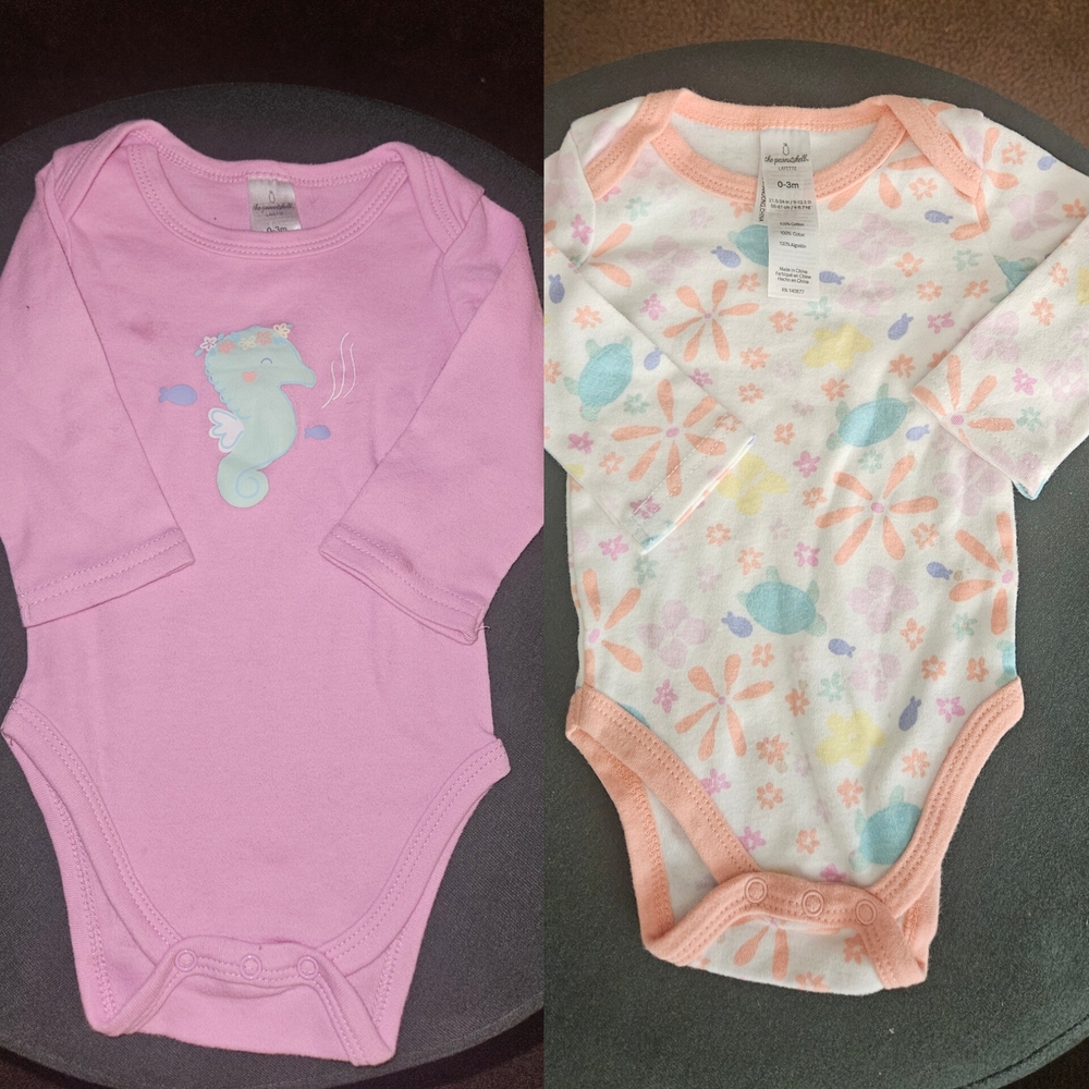 Pink and Multicolor Baby Long Sleeve Onesies - Set of 2